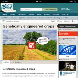 Genetically engineered crops - Science (10) - ABC Splash -