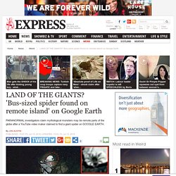 LAND OF THE GIANTS? 'Bus-sized spider found on remote island' on Google Earth