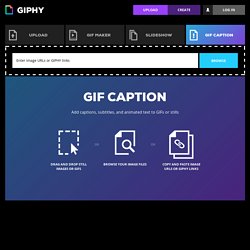 GIF Caption - Add Text to GIFs