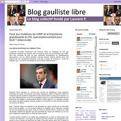 Face aux mutations de l'UMP et à l'importance grandissante du FN, quel positionnement pour DLR ? (billet invité)