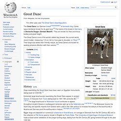 Great Dane