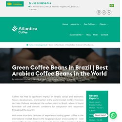 Brazilian coffee beans