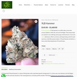 9LB Hammer Strain - Weed For Sale Online