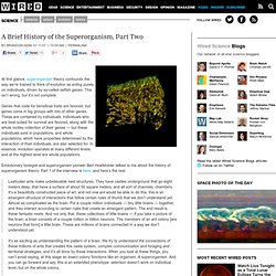 A Brief History of the Superorganism, Part Two