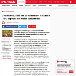 L'homosexualité est parfaitement naturelle : 450 espèces animales concernées !