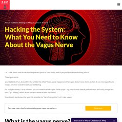 How to Hack Your Own Vagus Nerve