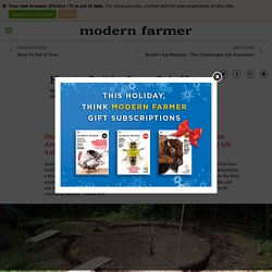 How To Build A Straw Bale House