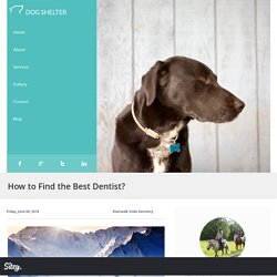 How to Find the Best Dentist?