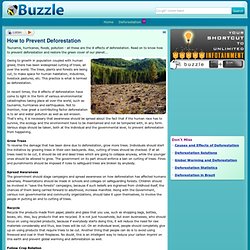 How to Prevent Deforestation