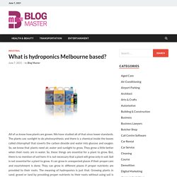 What is hydroponics Melbourne based?