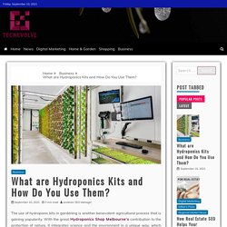 What are Hydroponics Kits and How Do You Use Them? - Techevolve Blogging