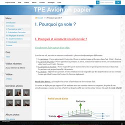 I. Pourquoi ça vole ?