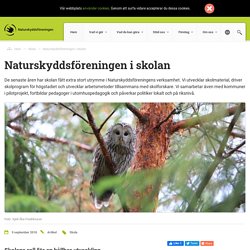 Naturskyddsföreningen i skolan