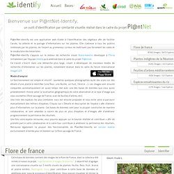 Identify