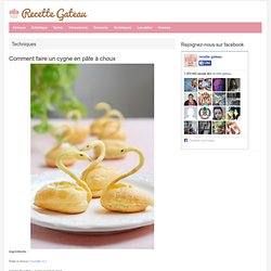 cygne pâte à choux