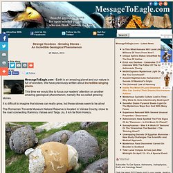 Growing Stones - An Incredible Geological Phenomena