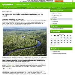 La protection des forêts indonésiennes fait un pas en avant