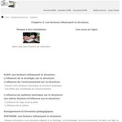 Les facteurs influençant la structure - COURS e-learning BTS Management 2sd année.