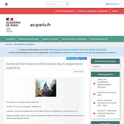 CIO des Enseignements Supérieurs