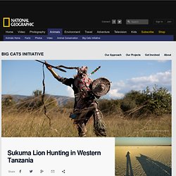 Halting Lion Hunting Information, Facts, News -