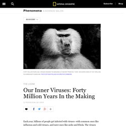 Our Inner Viruses: Forty Million Years In the Making