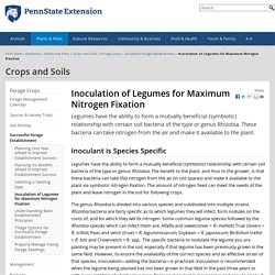 Inoculation of Legumes for Maximum Nitrogen Fixation — Crops and Soils