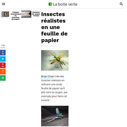 Insectes réalistes en une feuille de papier