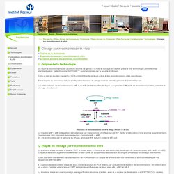 Clonage par recombinaison in vitro