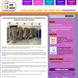 Pour une interdiction européenne de la présence des animaux dans les cirques
