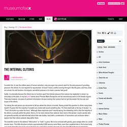 The Internal Clitoris