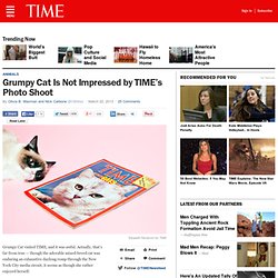 Grumpy Cat Is Not Impressed by TIME
