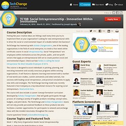 Social Intrapreneurship – Innovation Within Institutions