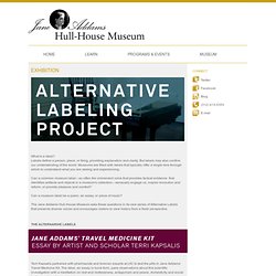 Jane Addams Hull-House Museum