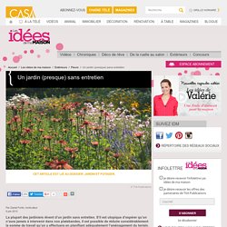 Un jardin (presque) sans entretien