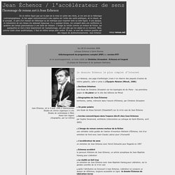 Jean Echenoz sur remue.net