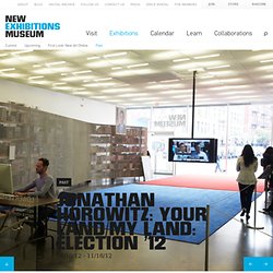 Jonathan Horowitz: Your Land/My Land: Election ’12