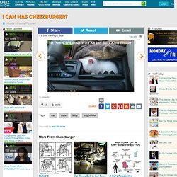 It's Just the Right Size - StumbleUpon