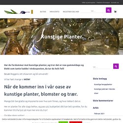 Kunstige Planter og blomster - Roggens Import AS