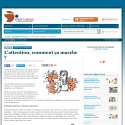 L'attention, comment ça marche
