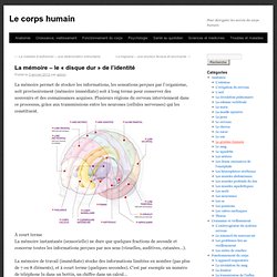La mémoire - le « disque dur » de l’identité