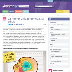 La menor unidad de vida, la célula