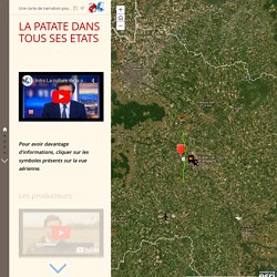 La patate dans tous ses états