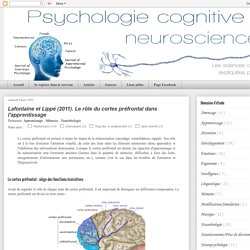 Lafontaine et Lippé (2011). Le rôle du cortex préfrontal dans l'apprentissage