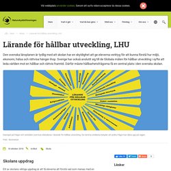 Lärande för hållbar utveckling, LHU