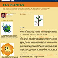 LAS PLANTAS: EL TALLO