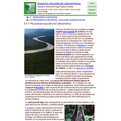 Pluviselvas tropicales de Latinoamérica