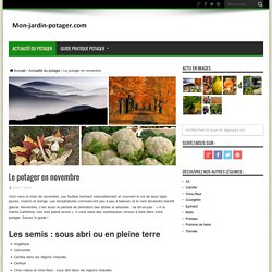 Le potager en novembre