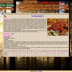 Le Site de Maitre Dragon