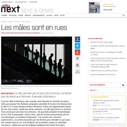 Les mâles sont en rues