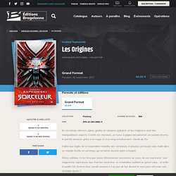 Le Sorceleur, l'intégrale en 3 tomes.